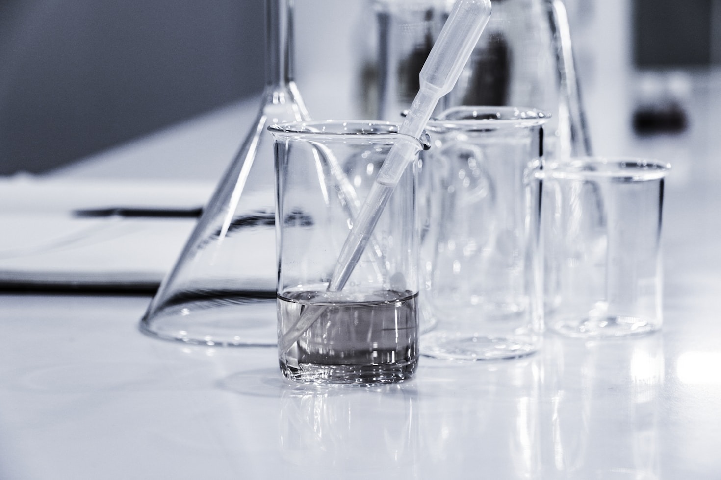 Biology Made Fun: Engaging Tools for Learning