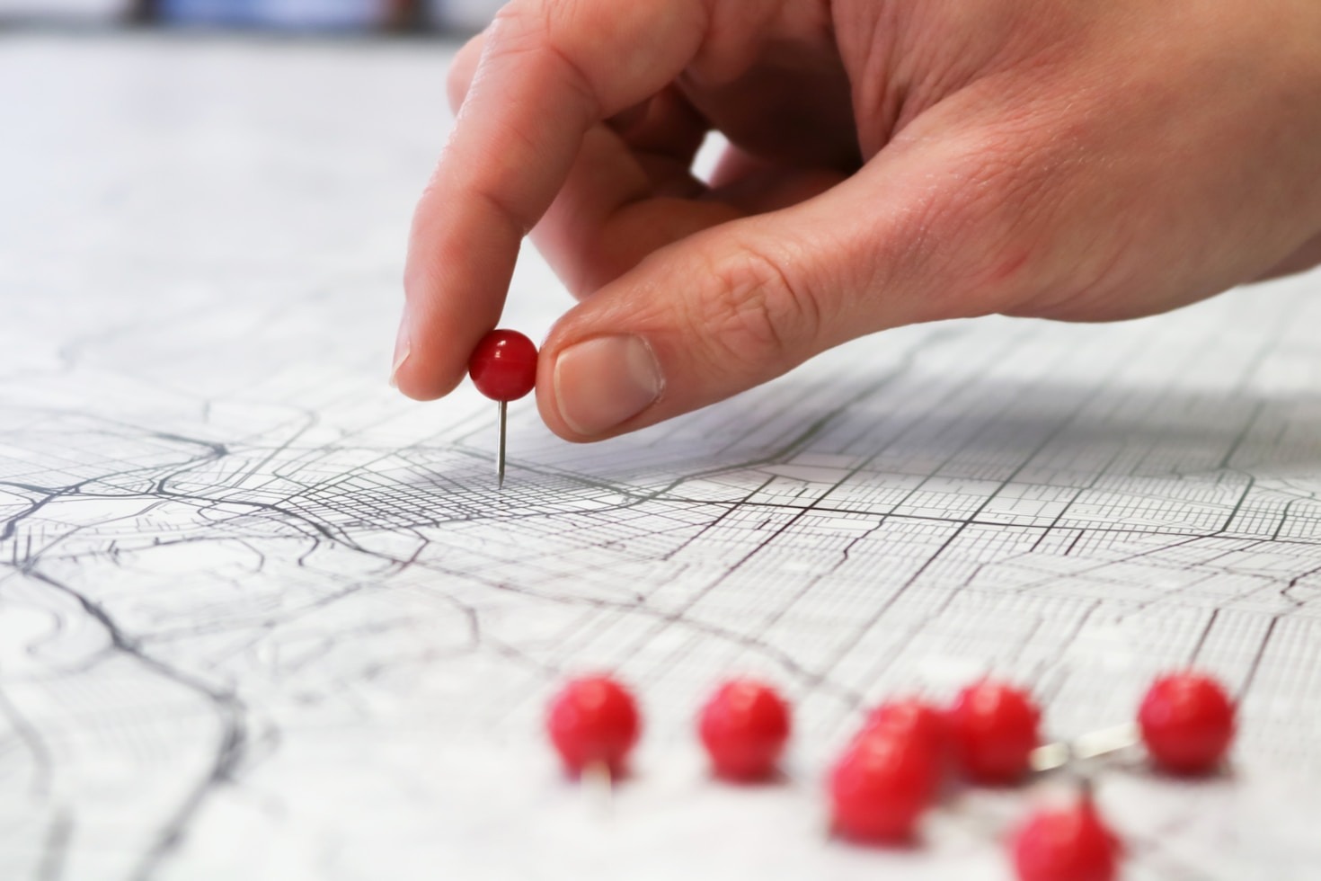 Innovative Resources to Cultivate the Curious Mind